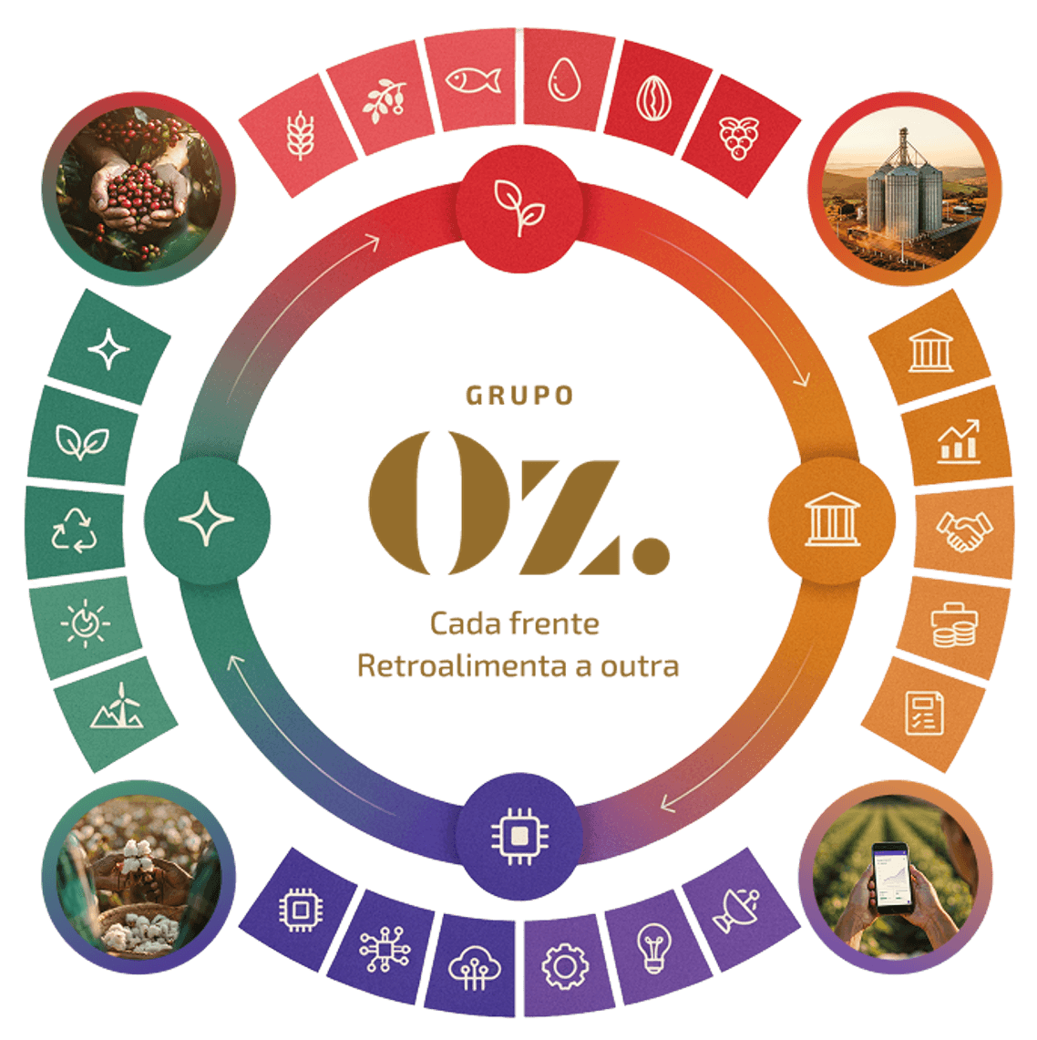 Mandala do ecossistema Oz.Inc: as quatro frentes OZ.EARTH, OZ.VENTURES, OZ.INFRA e OZ.DIGITAL conectadas em ciclo, cada uma retroalimentando a outra